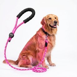 MEGAPAWS LED Light Up Reflective Nylon Dog Leash with Type-C Charging, 4-ft long, 3/8-in wide, Pink