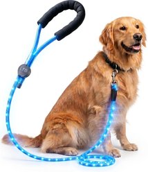 MEGAPAWS LED Light Up Reflective Nylon Dog Leash with Type-C Charging, 4-ft long, 3/8-in wide, Blue
