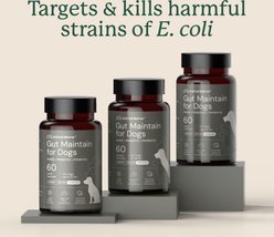 AnimalBiome Gut Maintain Probiotics & Prebiotics Digestive Health Supplement for Large Dogs, 60 count slide 2 of 9
