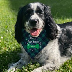 PGS Happy Paw-lidays Plaid Personalized Dog Bandana, Navy/Green/White, Large slide 2 of 2