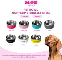 Glow Pups Vacuum Insulated Stainless Steel Dog Bowl, Light Blue, 64-oz slide 2 of 8