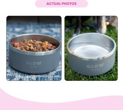 Glow Pups Vacuum Insulated Stainless Steel Dog Bowl, Grey, 32-oz slide 2 of 5