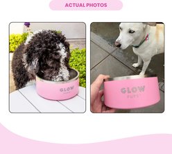 Glow Pups Vacuum Insulated Stainless Steel Dog Bowl, Light Pink, 32-oz slide 2 of 8