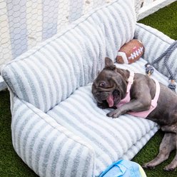Glow Pups Soft Faux Lambswool Washable Sofa Dog Bed, Grey, XX-Large slide 2 of 8