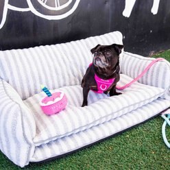 Glow Pups Soft Faux Lambswool Washable Sofa Dog Bed, Grey, Large slide 2 of 8
