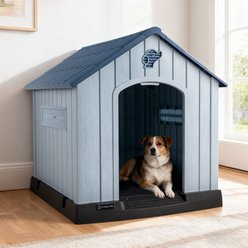 LEMBERI Sturdy Indoor & Outdoor Waterproof Plastic Dog House, Light Blue, 40 x 37.2 x 40-in