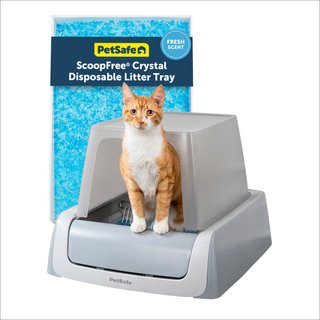 PetSafe ScoopFree Crystal Pro Legacy Front Entry Self-Cleaning Cat Litter Box slide 1 of 8