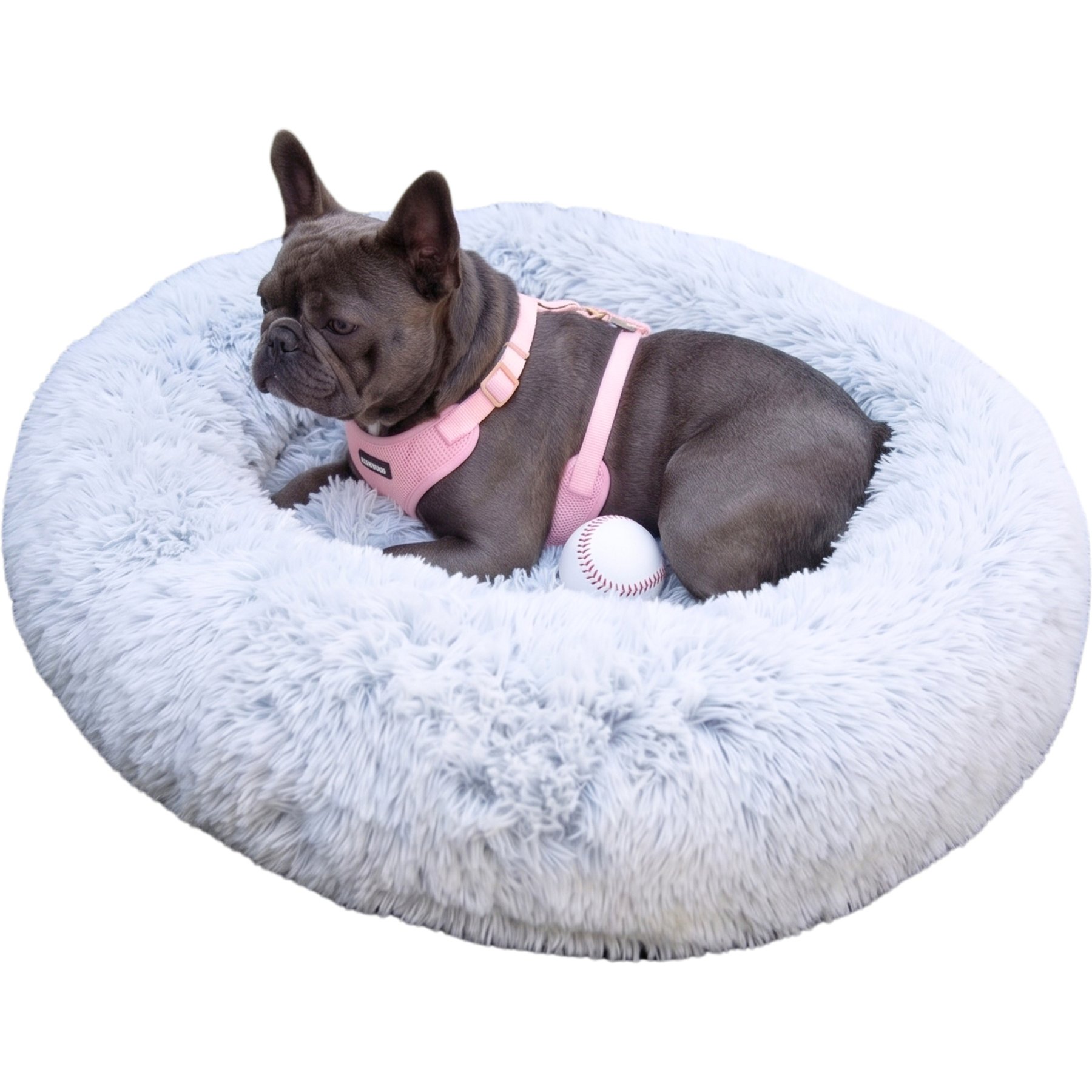 Glow Pups Calming Memory Foam Bolster Dog Bed, Light Grey, XX-Large