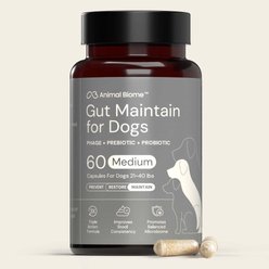 AnimalBiome Gut Maintain Probiotics & Prebiotics Digestive Health Supplement for Medium Dogs, 60 count