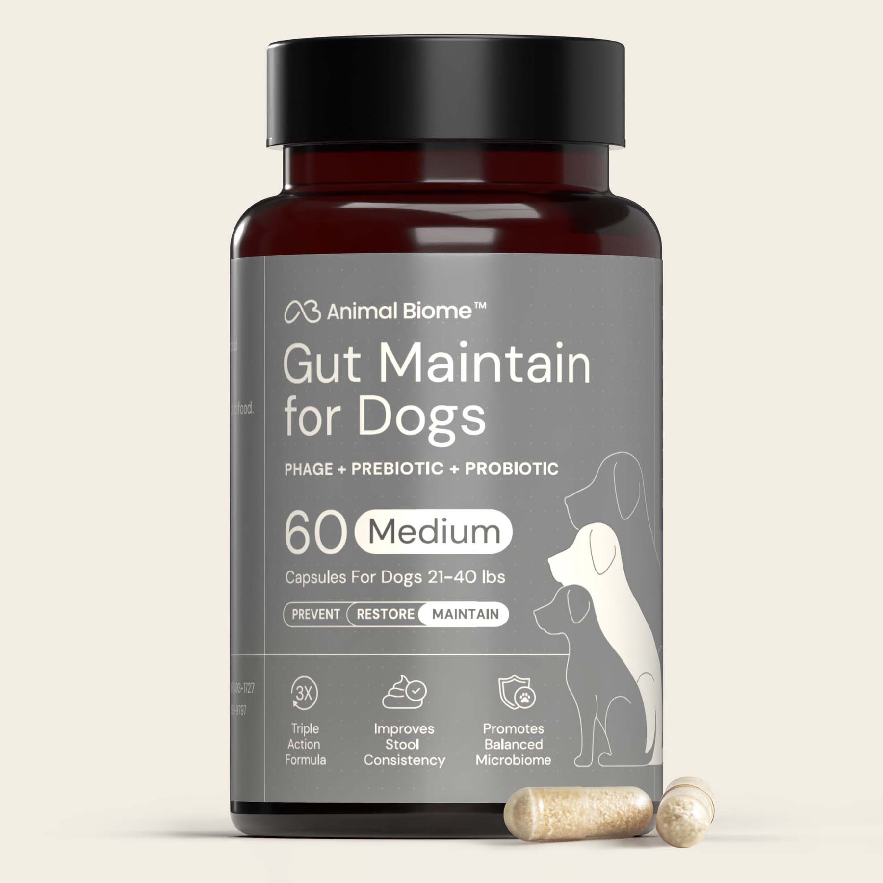 AnimalBiome Gut Maintain Probiotics & Prebiotics Digestive Health Supplement for Medium Dogs, 60 count