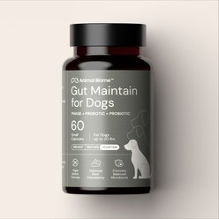AnimalBiome GMP Capsule Digestive Aid Supplement for Dogs, Small, 60 count slide 1 of 9