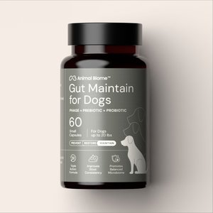 ANIMALBIOME GMP Capsule Digestive Aid Supplement for Dogs, Small