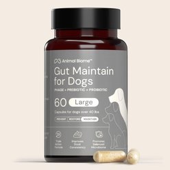 AnimalBiome GMP Capsule Digestive Aid Supplement for Dogs, Large, 60 count