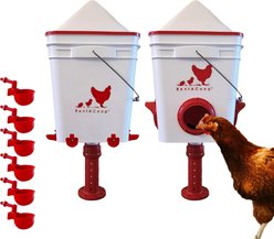 RentACoop Adjustable Stands Poultry Feeder & Waterer, 25-lbs & 5-gal