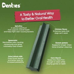 Denties Chicken, Spirulina & Mint Recipe Dental Sticks Dog Treats, Large, 22 count slide 2 of 9