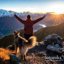 Totoniks Gut Health & Hydration Starter Pack Venison Flavored Powder Digestive Aid for Small Dogs, 7 count slide 2 of 7