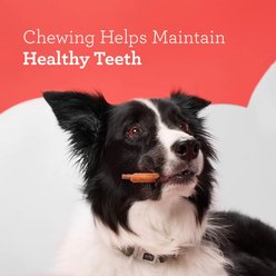DreamBone Triple Flavor Ribs Real Chicken, Peanut Butter & Beef Rawhide Free Dog Hard Chew Treats, 10 count slide 2 of 9