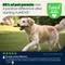 Show in main carousel: Vetnique Labs YuMOVE Hip & Joint Health Glucosamine Hyaluronic Acid Green Lipped Mussel & Omega 3, Chewable Tablet Supplement for Young Adult through Senior Dog, 300 count slide 9 of 10