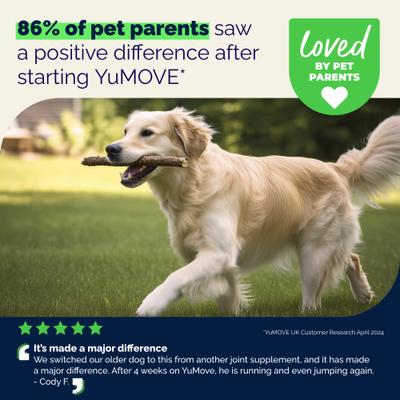 Show full view: Vetnique Labs YuMOVE Hip & Joint Health Glucosamine Hyaluronic Acid Green Lipped Mussel & Omega 3, Chewable Tablet Supplement for Young Adult through Senior Dog, 300 count slide 9 of 10