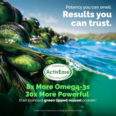 Show full view: Vetnique Labs YuMOVE Hip & Joint Health Glucosamine Hyaluronic Acid Green Lipped Mussel & Omega 3, Chewable Tablet Supplement for Young Adult through Senior Dog, 300 count slide 6 of 10