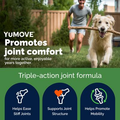 Show full view: Vetnique Labs YuMOVE Hip & Joint Health Glucosamine Hyaluronic Acid Green Lipped Mussel & Omega 3, Chewable Tablet Supplement for Young Adult through Senior Dog, 300 count slide 3 of 10