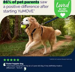 Vetnique Labs YuMOVE Advanced Vet Strength Hip & Joint Health Glucosamine, Omega 3 & Hyaluronic Acid Chewable Tablet Supplement for Young Adult through Senior Dogs, 60 count slide 2 of 9