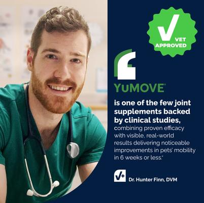 Show full view: Vetnique Labs YuMOVE Hip & Joint Health Glucosamine Hyaluronic Acid Green Lipped Mussel & Omega 3, Chewable Tablet Supplement for Young Adult through Senior Dog, 300 count slide 8 of 10