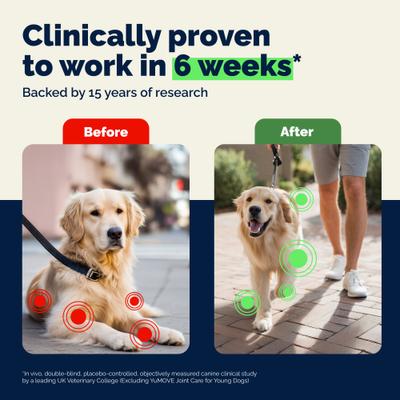 Show full view: Vetnique Labs YuMOVE Hip & Joint Health Glucosamine Hyaluronic Acid Green Lipped Mussel & Omega 3, Chewable Tablet Supplement for Young Adult through Senior Dog, 300 count slide 4 of 10