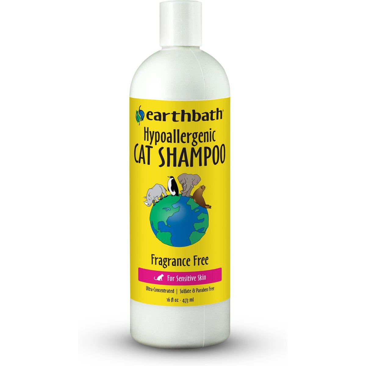 Earthbath Hypoallergenic Fragrance Free Cat Shampoo, 16-fl oz bottle