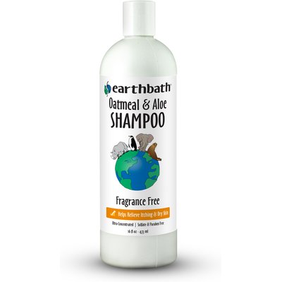 Earthbath Earthbath Oatmeal & Aloe Itch Relief Fragrance Free Dog & Cat Shampoo, 16-fl oz bottle