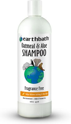 EARTHBATH Oatmeal & Aloe Itch Relief Fragrance Free Dog & Cat Shampoo,  16-fl oz bottle - Chewy.com