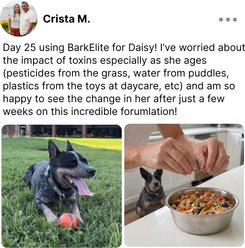 Mara Labs BarkElite Capsule Immune Supplements for Dogs, 30 count slide 2 of 7