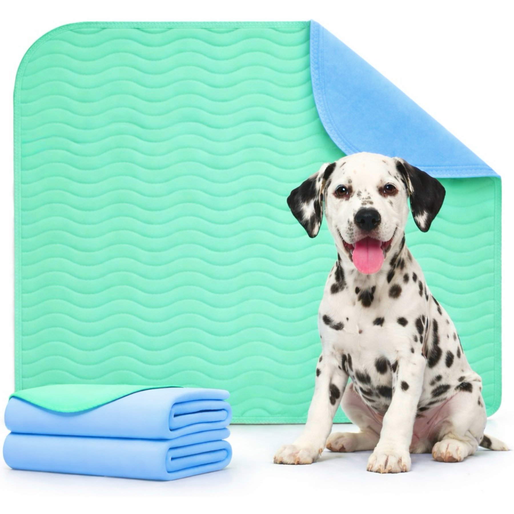 Green Lifestyle Quick Dry Washable Pee Pads Unscented Dog Potty Training System, Blue/Green, 30 x 34-in, 2 count