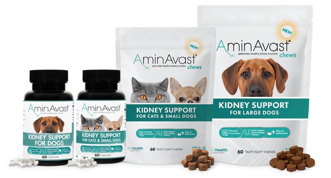 AMINAVAST Kidney Support Cats & Small Dogs Supplement, 60 count