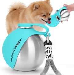 Halinfer 2-in-1 Portable Travel Stainless Steel Dog Water Bottle, Medium, Blue