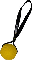 Starmark DuraFoam Ball Loop Exercise Dog Toy, Yellow, Medium: 2.5-in