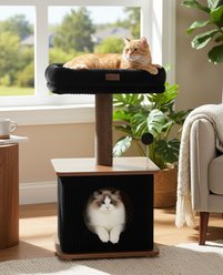 Purrlato 27-in Fleece Covered Modern Cat Tree, Walnut