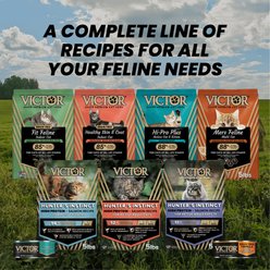VICTOR Active Hunter's Instinct High Protein Salmon Recipe Dry Cat Food, 15-lb bag slide 2 of 9