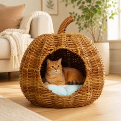 NonoPets Playful Pumpkin-Shaped Enclosed Condo Flake-Free & Breathable Premium Hand-Woven Rattan Cave Chew Resistant Bolster Cat Bed, 20.1 x 20.1 x 19.7-in