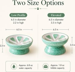 NonoPets Fruit-Style Raised Dishwasher Safe Lead Free Elevated Ceramic Slow Feeder Dog & Cat Bowl, 0.83-cup, Black slide 2 of 9