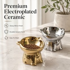 NonoPets Mirror-Finish Tilted Raised Electroplated Dishwasher Safe Elevated Ceramic Dog & Cat Bowl with Sturdy Weighted Base, 1.04-cup, Silver slide 2 of 9