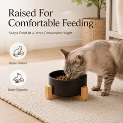 NonoPets Premium Dishwasher Safe Microwavable Lead Free Ceramic Dog & Cat Bowl with Non-Slip Bamboo Stand, 1.67-cup, 5.1 x 5.1 x 2.6-in, Pink slide 2 of 9