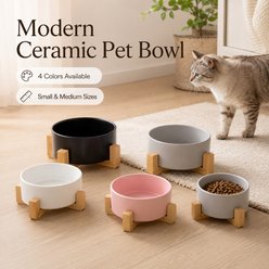 NonoPets Premium Dishwasher Safe Microwavable Lead Free Ceramic Dog & Cat Bowl with Non-Slip Bamboo Stand, 3.54-cup, 6.2 x 6.2 x 3.54-in, White slide 2 of 9