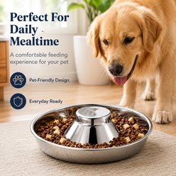 NonoPets Raised Center Anti-Choking Dishwasher Safe Lead Free Stainless Steel Slow Feeder Dog & Cat Bowl, 22.4-cup, 13.4 x 3.2-in slide 2 of 9