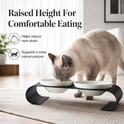 NonoPets Double Elevated Dishwasher Safe Lead Free Microwavable Ceramic Dog & Cat Bowls with Modern Metal Stand, 3.3-cup slide 2 of 9