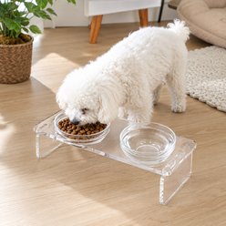 NonoPets Clear Raised Dishwasher Safe Removable Lead Free Double Elevated Acrylic Dog & Cat Bowls, 13.7-oz, 14.2 x 5.9 x 3.7-in