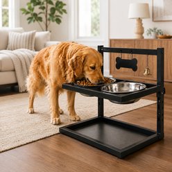 NonoPets Raised Adjustable Elevated Dishwasher Safe Removable Double Lead Free Stainless Steel Dog Bowls, 5-cup