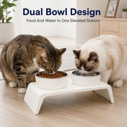 NonoPets Raised Double Elevated Dishwasher Safe Removable Lead Free Microwavable Stainless Steel Dog & Cat Bowls, 3.3-cup, White slide 2 of 9