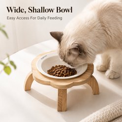 NonoPets Raised Dishwasher Safe Elevated Removable Lead Free Microwavable Ceramic Dog & Cat Bowl with Wooden Stand, 0.83-cup, Cream slide 2 of 9