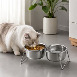 NonoPets Raised Double Rust-Proof & Dishwasher Safe Elevated Stainless Steel Dog & Cat Bowls with Metal Stand, Large